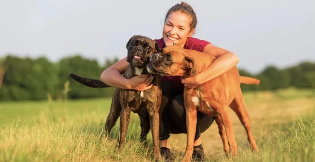 Bild: Werden Sie Teil der Lösung: Helfen Sie Tieren in Not!
