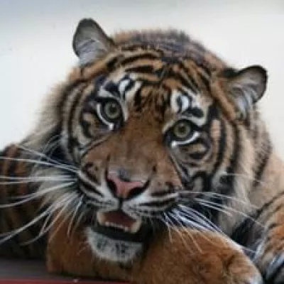 Bild: Burgers’ Rimba, die Tropen inmitten von Arnhem