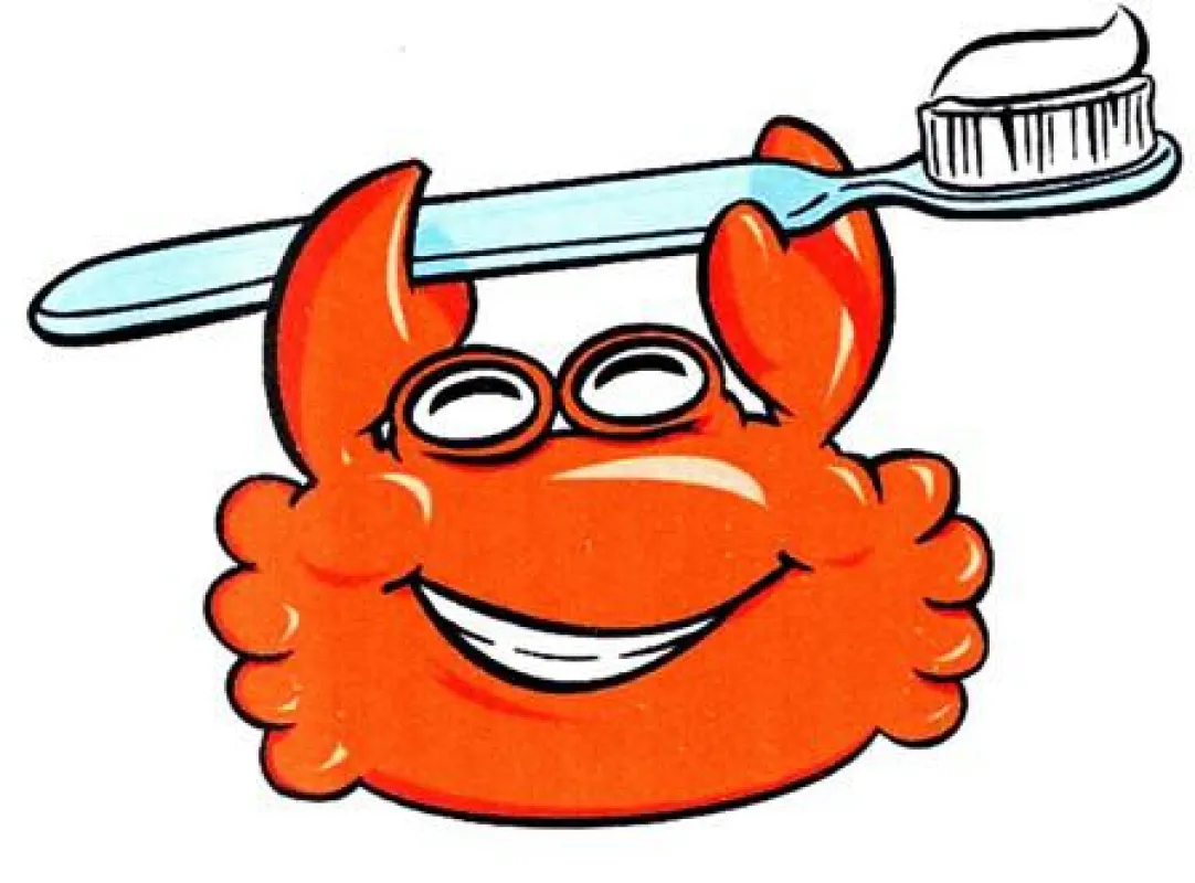 Chitodent Krabbenzahnpasta ohne Fluor