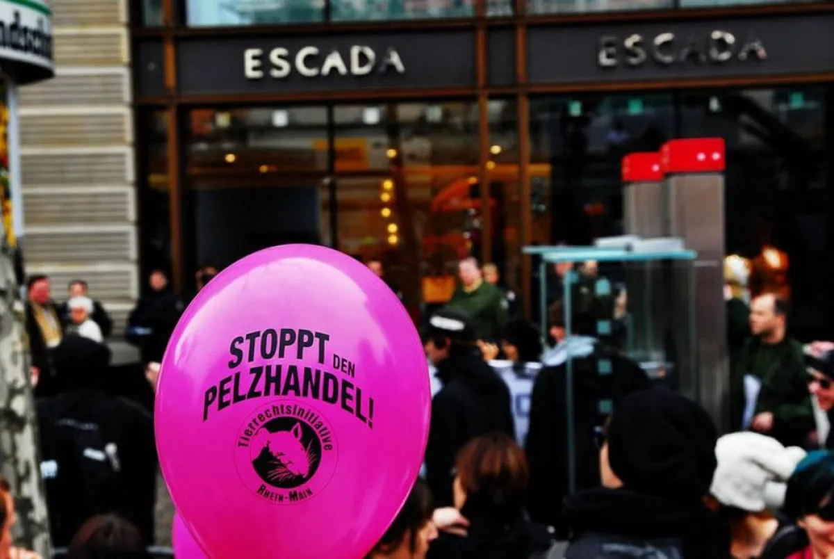 Proteste gegen Pelzverkauf