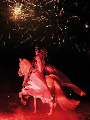 Bild: Hohe Schule und „wüster“ Pas de Deux - fulminante Gala der Reitkunst am Ufer des Bernsteinsees