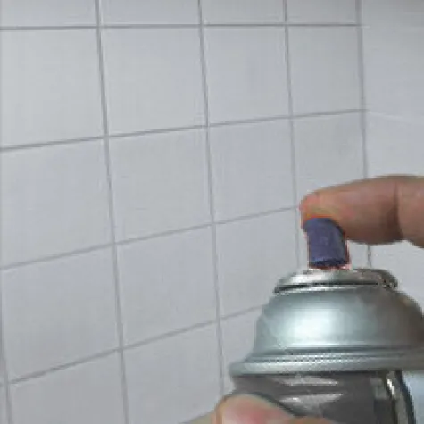 Bild: Gesundheitliche Beschwerden nach Anwendung von Nanoversiegelungssprays zur Badpflege