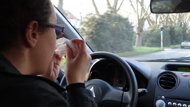 Zurich warnt vor Pollenflug: Allergiker fahren mit erhöhtem Unfallrisiko Bild: Zurich warnt vor Pollenflug: Allergiker fahren mit erhöhtem Unfallrisiko