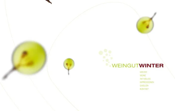 Mit Stefan Winter ist Rheinhessen wieder im Kommen Bild: Mit Stefan Winter ist Rheinhessen wieder im Kommen