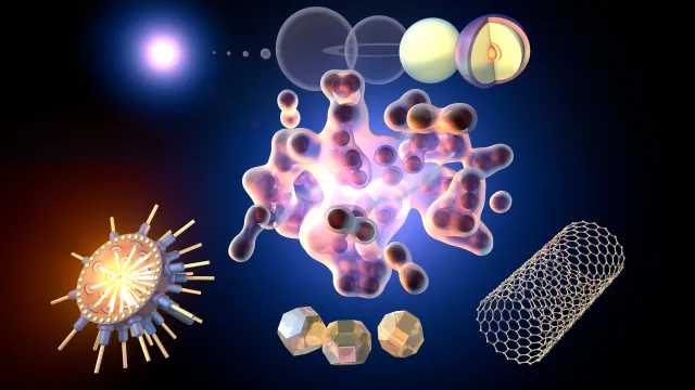 Hand2 und nachwachsende Gliedmaßen: Positionscode der Wunderlurche gefunden Bild: Hand2 und nachwachsende Gliedmaßen: Positionscode der Wunderlurche gefunden