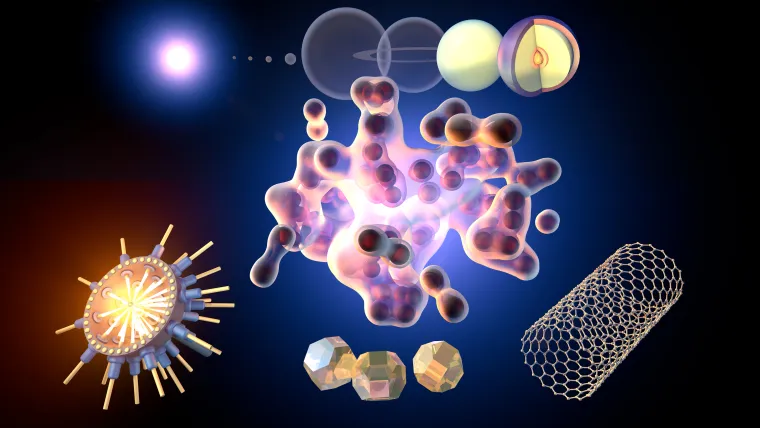 Bild: Hand2 und nachwachsende Gliedmaßen:  Positionscode der Wunderlurche gefunden