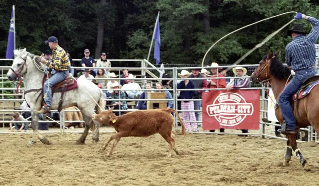Bild: Tierrechtler demonstrieren gegen Rodeo