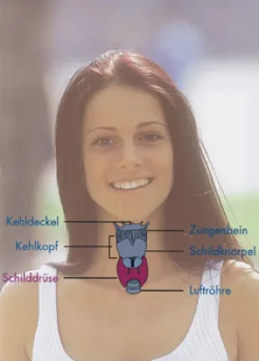 Bild: Hinweise auf Schilddrüsenerkrankung - Abgeschlagenheit, geringere Belastbarkeit, Depressionen, Hitzewallungen oder starke Gewichtveränderungen