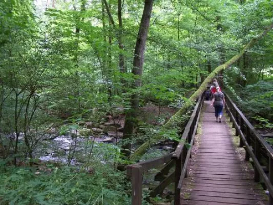 Bild: Tourismusregion Westerwald lebt von Wanderern und Tagesgästen