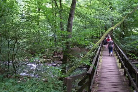 Tourismusregion Westerwald lebt von Wanderern und Tagesgästen Bild: Tourismusregion Westerwald lebt von Wanderern und Tagesgästen