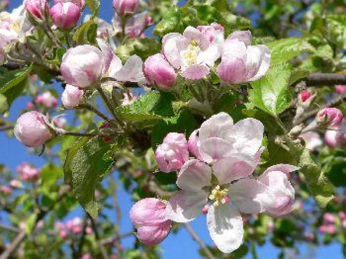 Wellnesshotel im Bayerischen Wald