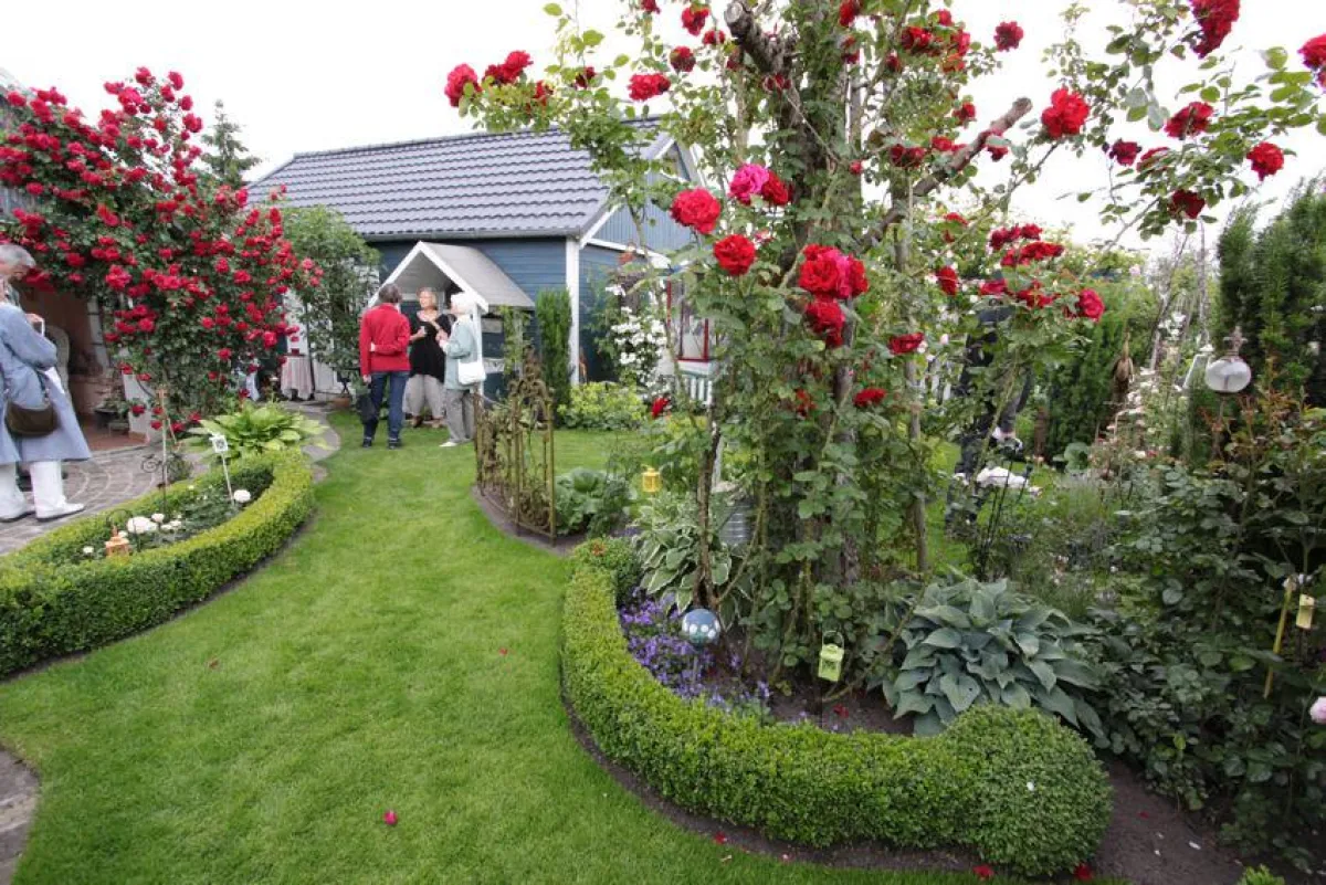 Offene Gärten - Garten in Berlin