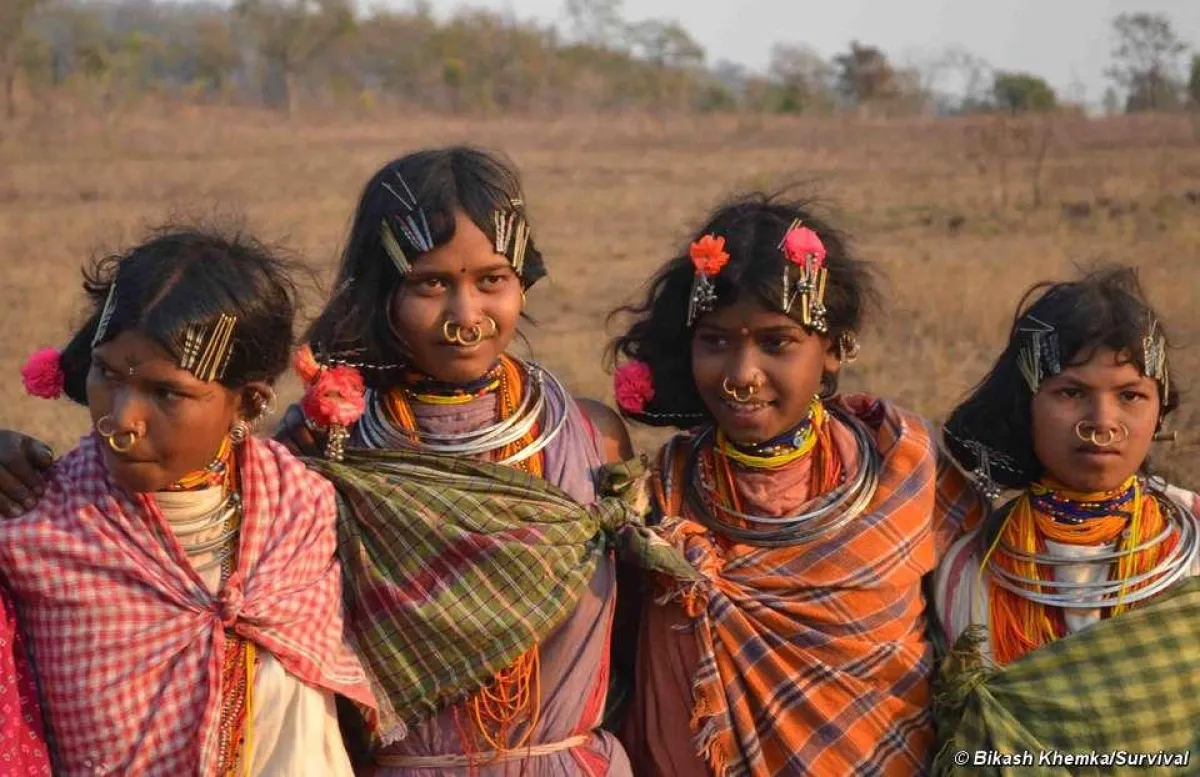 Die Dongria Kondh haben geschworen, den Niyamgiri-Berg niemals zu verlassen. ©Bikash Khemka/Survival