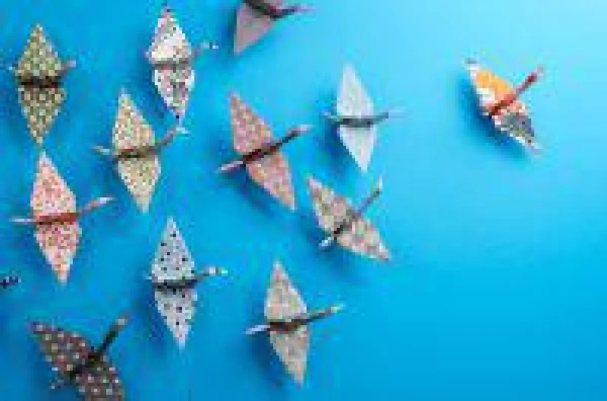 Investorenprozess erfolgreich