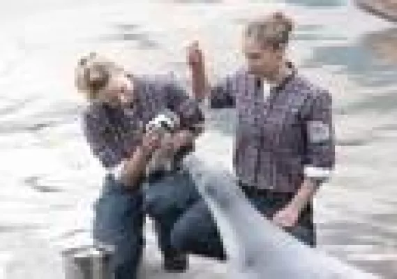 Bild: Kate & William treffen sich nur mit Anstandsdame im Erlebnis-Zoo Hannover