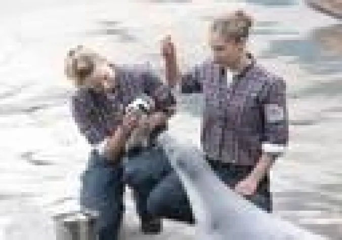 Kate & William treffen sich nur mit Anstandsdame im Erlebnis-Zoo Hannover Bild: Kate & William treffen sich nur mit Anstandsdame im Erlebnis-Zoo Hannover