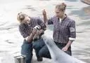 Kate & William treffen sich nur mit Anstandsdame im Erlebnis-Zoo Hannover Bild: Kate & William treffen sich nur mit Anstandsdame im Erlebnis-Zoo Hannover