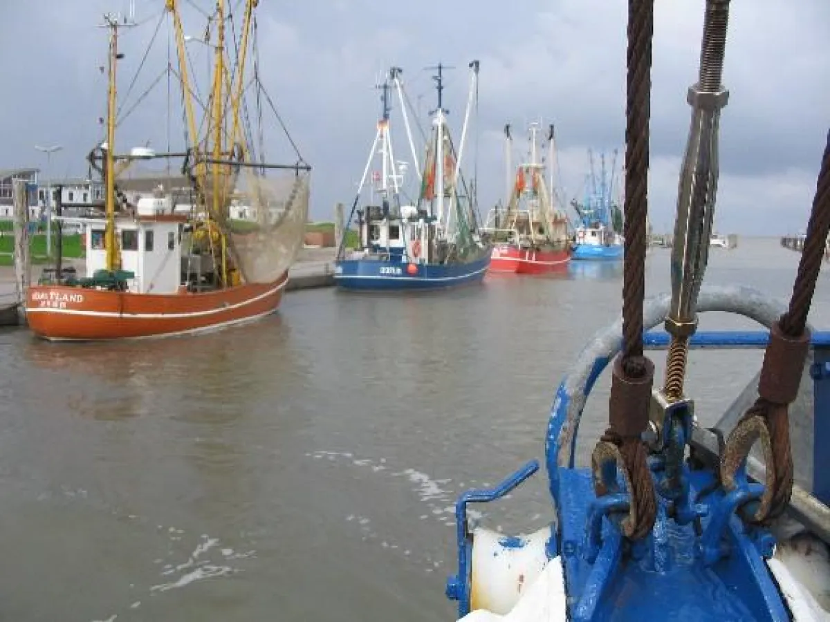 JuLis wollen lieber keine, als subventionierte Krabbenkutter