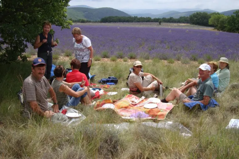 Bild: Weihnachtsgeschenk – Geschenkgutschein für Lavendelblüten-Reise in die Haute-Provence