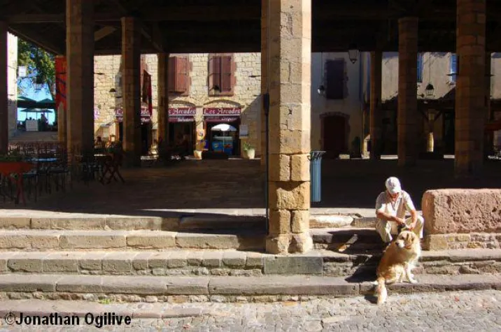 Bild: Urlaubsplanung für Hund & Co – so geht’s