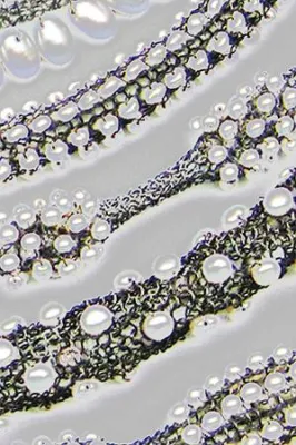 Bild: "GEDOK-Salon" – Benefizausstellung zugunsten der GEDOK München