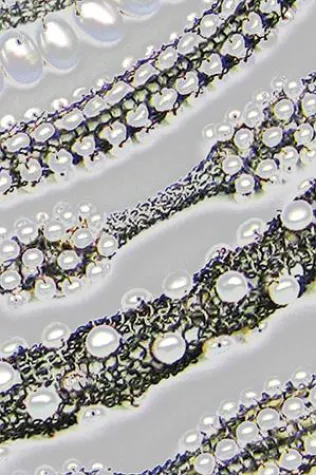 Bild: "GEDOK-Salon" – Benefizausstellung zugunsten der GEDOK München