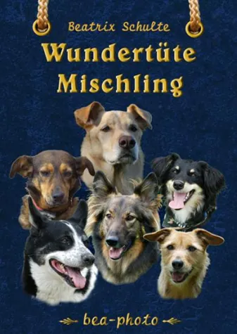Bild: Wundertüte Mischling - 50 Lebensgeschichten der beliebtesten "Hunderasse" der Welt