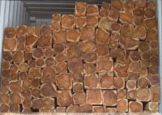 Bild: Investoren bei ShareWood profitieren von steigenden Holzpreisen