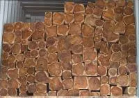 Bild: Investoren bei ShareWood profitieren von steigenden Holzpreisen