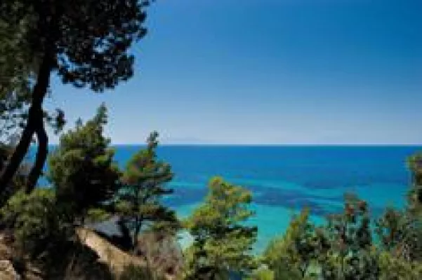 Bild: Sani Farm Trips – Spaß und Lernen auf einem echten griechischen Bauernhof