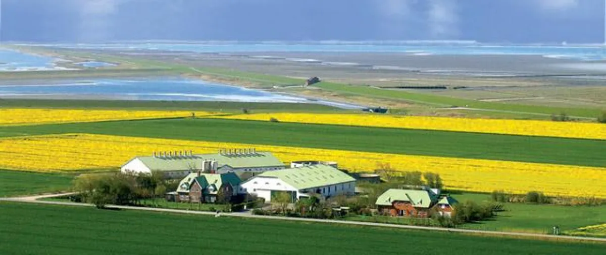 ferienhof Wulff direkt hinterm Deich an der Nordsee