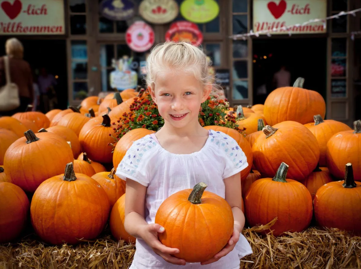 Kürbisse satt beim ersten Kürbis-Food-Festival in Karls Erlebnis-Dörfern (Karls Erlebnis-Dorf)