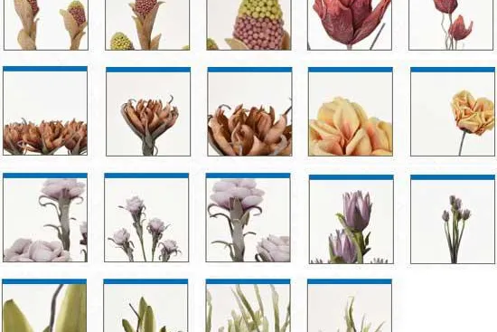 Jetzt neu bei AE Trade: Natürlich wirkende Kunstblumen Bild: Jetzt neu bei AE Trade: Natürlich wirkende Kunstblumen