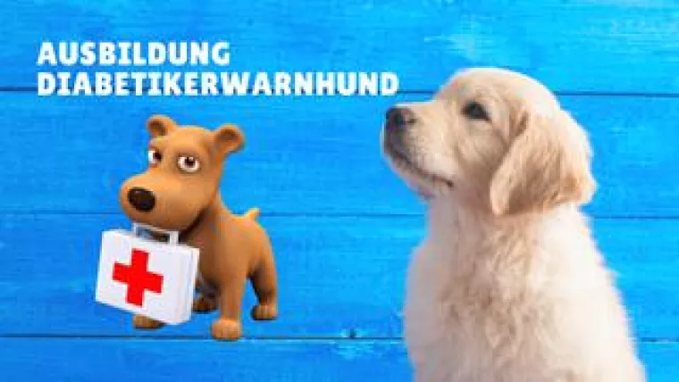 Bild: So wird jeder seine Angst vor Unterzuckerungen ein für allemal los!