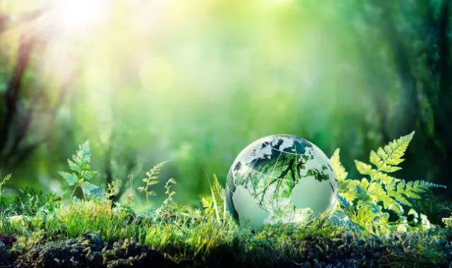 Bild: Zero Emission startet einen gemeinnützigen Verein zur Reduzierung der CO2-Emissionen