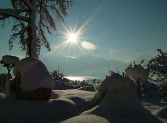 Bild: Winter-Traum bei Bauernhofurlaub.de: Ferien auf dem Bio-Bauernhof