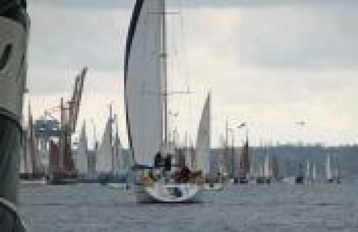 Bis zu 1,5 Millionen Besucher zieht die Hanse Sail in Rostock jährlich an.