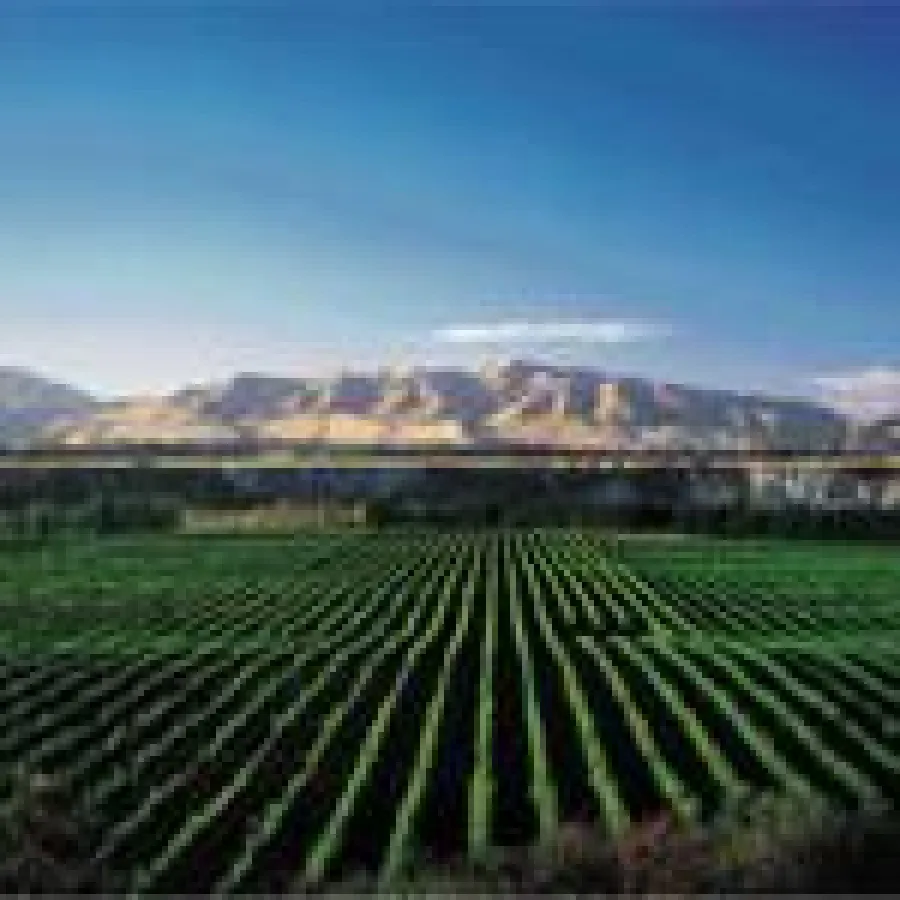 Central Otago/Neuseeland