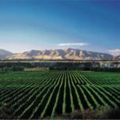 ProWein-Studie - Exotische Weine bei den Deutschen immer gefragter Bild: ProWein-Studie - Exotische Weine bei den Deutschen immer gefragter