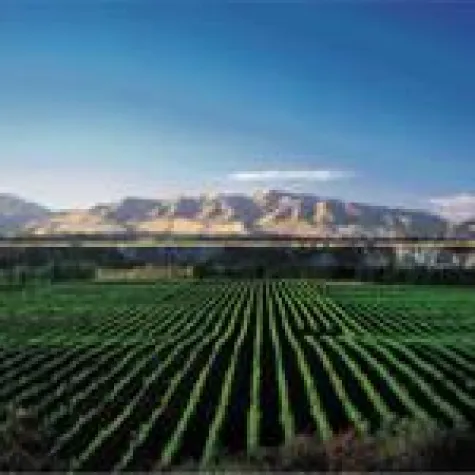 Bild: ProWein-Studie - Exotische Weine bei den Deutschen immer gefragter