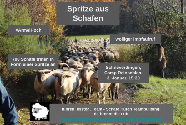 Bild: Spritze aus Schafen - ein wolliger Impfaufruf (Schneverdingen 3.Januar) #ÄrmelHoch