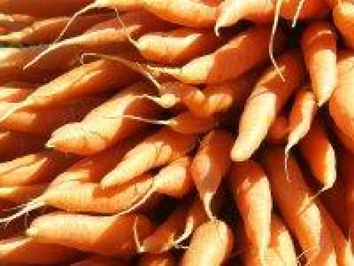 Beta- Carotin nützlich oder schädlich?