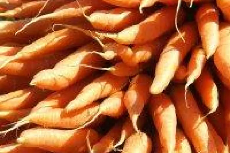 Bild: Beta- Carotin nützlich oder schädlich?