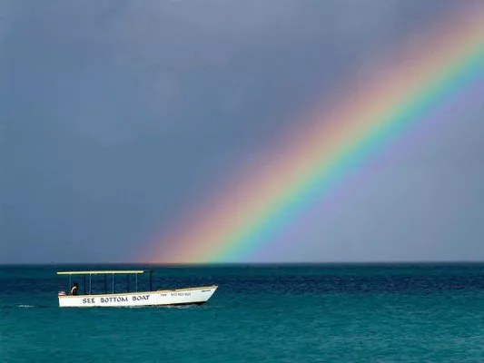 Bild: Jamaika - Montego Bay mit großem Wachstum