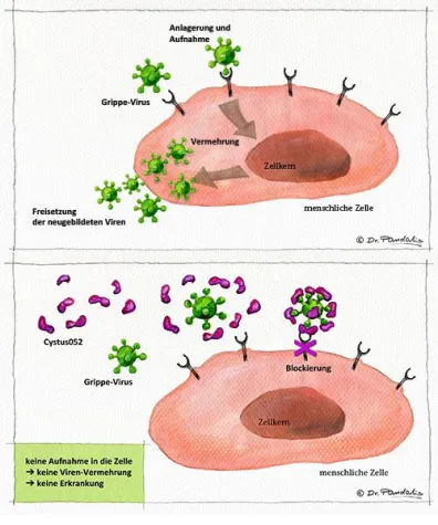Bild: Viren auf der Überholspur