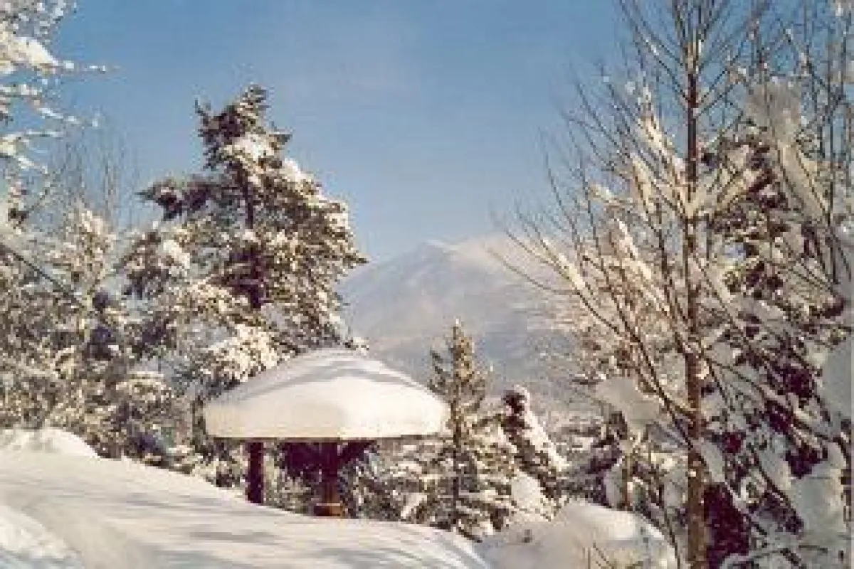 Das Hotel Alpenblick trägt seinen Namen zu Recht