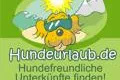 Bild: Hundeurlaub an der Hohwachter Bucht - Ostsee