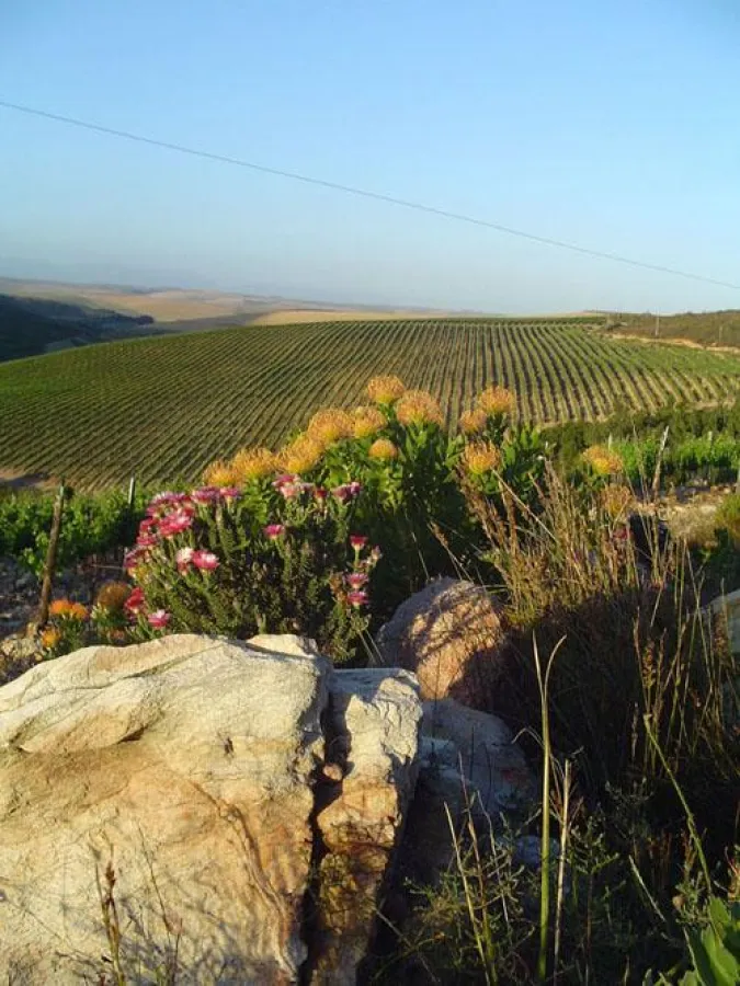 Walker Bay, Südafrika; Quelle: ProWein / Raka Wines