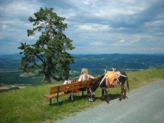 Bild: Über Stock und über Stein