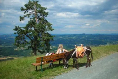 Über Stock und über Stein Bild: Über Stock und über Stein